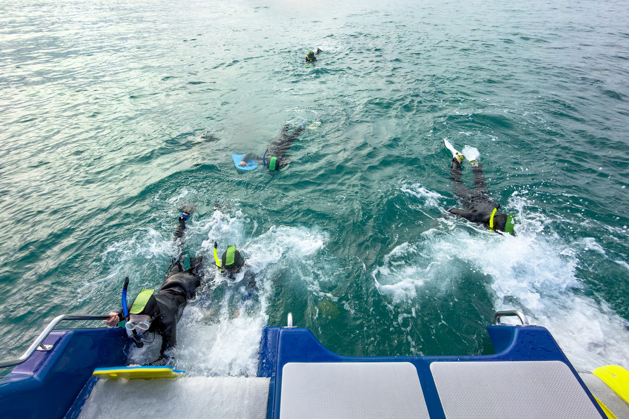 돌핀엔카운터-IMG_2879.jpg